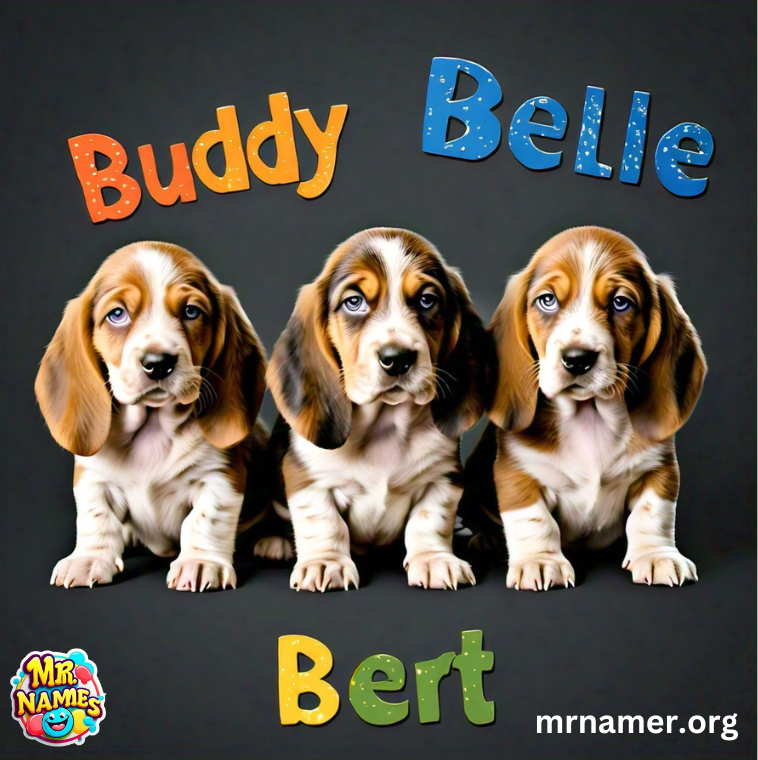 Quirky Basset Hound Names for Puppies